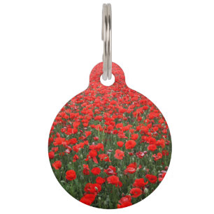 Placa Para Mascotas Campo de amapolas rojas