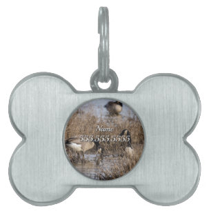 Placa Para Mascotas Canadiense Geese Snack Time Pet Tag