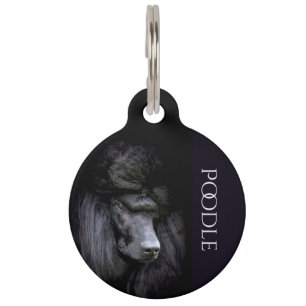 Placa Para Mascotas Caniche
