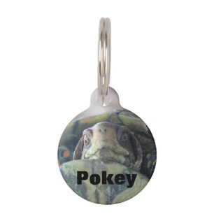 Placa Para Mascotas Cara de tortuga