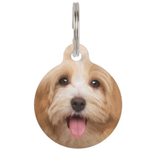 Placa Para Mascotas Cargar el animal de la foto