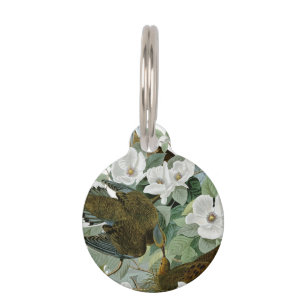Placa Para Mascotas Carolina Pigeon Audubon Morning Dove