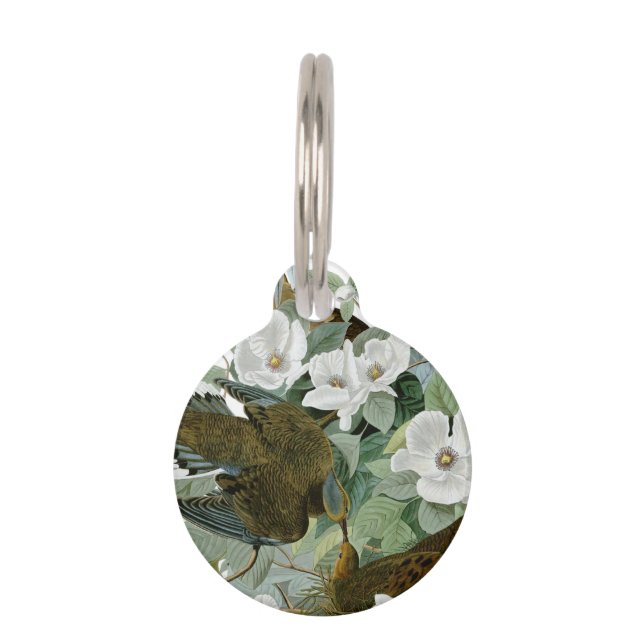 Placa Para Mascotas Carolina Pigeon Audubon Morning Dove (Anverso)