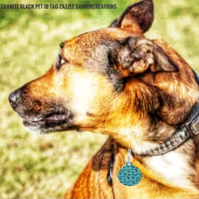 Placa Para Mascotas Carreteras (Don't forget ID tags for your beloved, pet!)