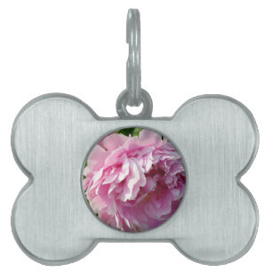 Placa Para Mascotas Casa de campo de campo con flores de Pink Peony