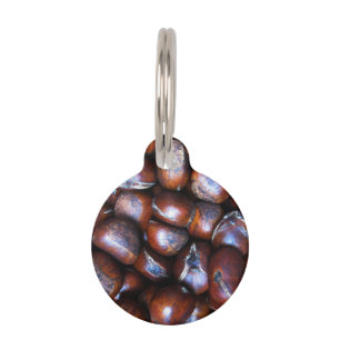 Placa Para Mascotas Castañas