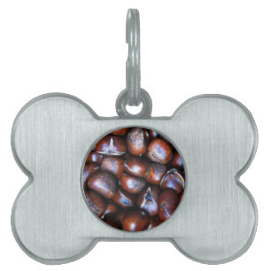 Placa Para Mascotas Castañas
