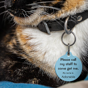 Placa Para Mascotas Cat, gatito si se pierde, etiqueta pequeña .88 de 