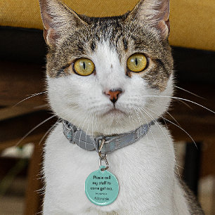 Placa Para Mascotas Cat, Kitten Lost tag, pequeño Verde azulado de 0,8