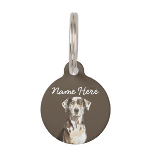 Placa Para Mascotas Catahoula Leopard