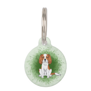Placa Para Mascotas Cavalier King Charles Spaniel Blenheim Sobre Verde