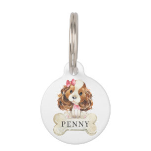 Placa Para Mascotas Cavalier King Charles Spaniel Perro Cachorro