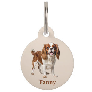 Placa Para Mascotas Cavalier King Charles Spaniel Personalizado