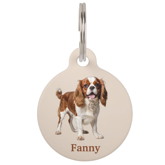 Placa Para Mascotas Cavalier King Charles Spaniel Personalizado (Anverso)