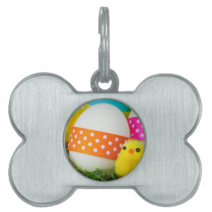 Placa Para Mascotas caza de huevos de pascua de pollo