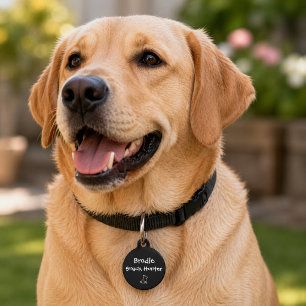 Placa Para Mascotas Cazador de Snacks – Personalizado