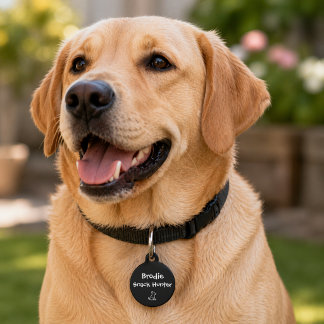 Placa Para Mascotas Cazador de Snacks – Personalizado