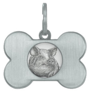 Placa Para Mascotas Cerdo