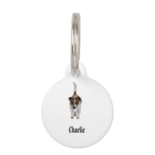 Placa Para Mascotas Charlie El Fox Terrier,