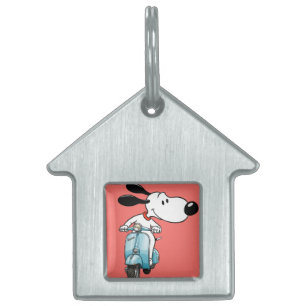Placa Para Mascotas Charlie en un Scooter, por Natasha Us  