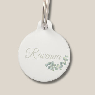Placa Para Mascotas Chic Nombre Personalizado Salvia Eucalipto Marfil