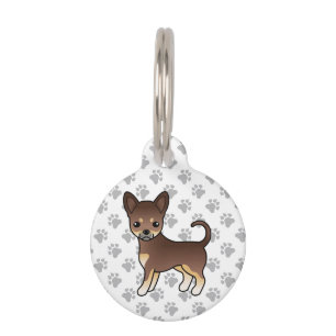 Placa Para Mascotas Chihuahua de pelaje liso de color chocolate y bron
