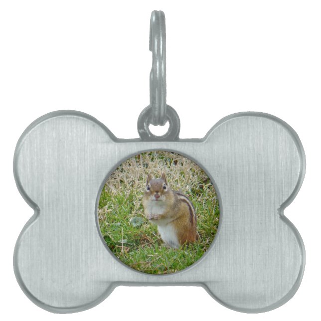 Placa Para Mascotas Chipmunk oriental (Frente)