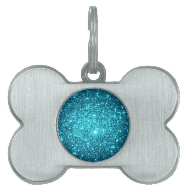 Placa Para Mascotas Chispa Turquesa (Frente)