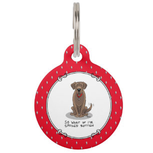 Placa Para Mascotas Chocolate Lab Labrador Retriever Malcriado