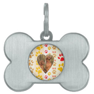 Placa Para Mascotas Chocolate Labrador Recuperador Corazón de Perro Pa