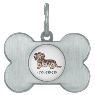 Placa Para Mascotas Chocolate Y Tan Dapple Largo Pelo Dachshund Perro