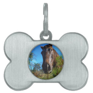 Placa Para Mascotas Cielo azul de caballo marrón y crema