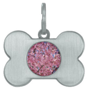 Placa Para Mascotas Cielo de flores de cerezo rosado de Sakura