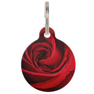 Placa Para Mascotas Cierre brillante del rosa rojo para arriba
