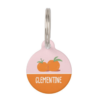Placa Para Mascotas Clementina