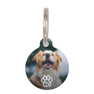 Placa Para Mascotas Código Qr de Contacto Monograma Mascotas Perro Fot