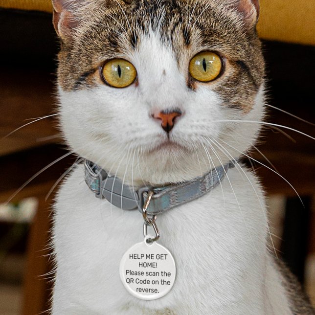 Placa Para Mascotas Código QR personalizado para perfil en línea (Subido por el creador)