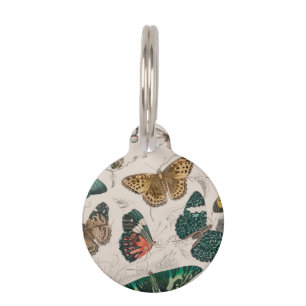 Placa Para Mascotas Colección de mariposa Mariposas antiguas