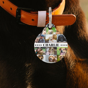 Placa Para Mascotas Collage personalizado de 12 fotos de mascotas con 