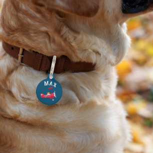 Placa Para Mascotas Collar con nombre personalizado para perro lindo e