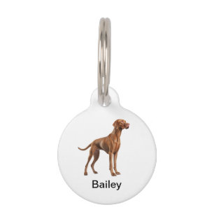 Placa Para Mascotas Collares de identificación con monograma de la raz