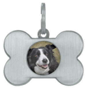 Placa Para Mascotas Color del borde