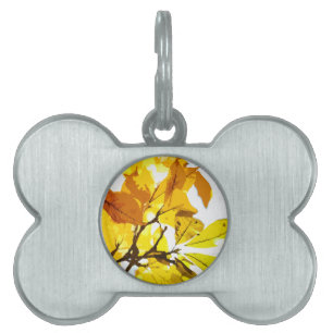 Placa Para Mascotas Colores otoñales, hojas