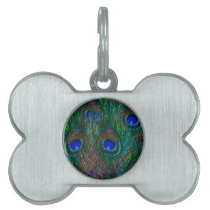 Placa Para Mascotas Coloridas plumas de pavo real estilo Etching