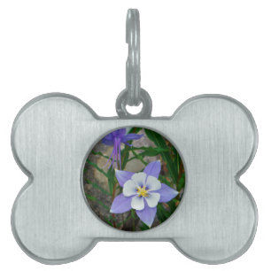 Placa Para Mascotas Columbina azul