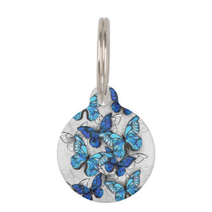 Placa Para Mascotas Composición de mariposas blancas y azules
