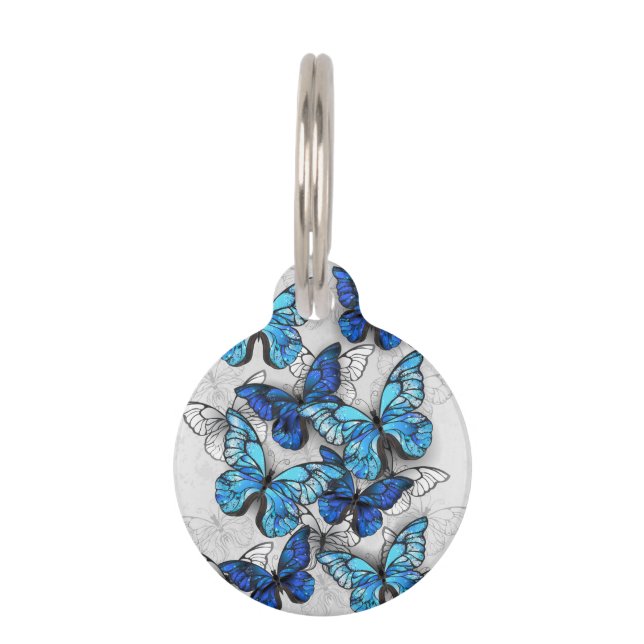 Placa Para Mascotas Composición de mariposas blancas y azules (Anverso)