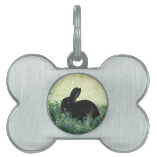 Placa Para Mascotas Conejito negro de Lil