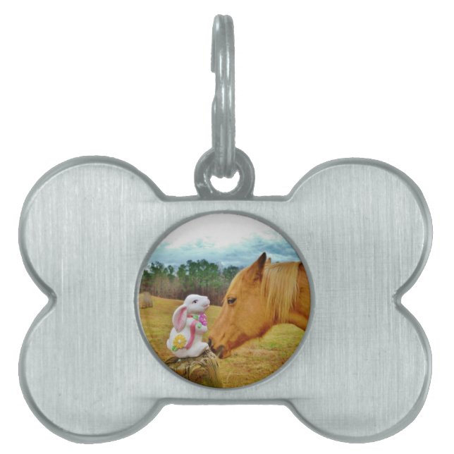 Placa Para Mascotas Conejo blanco y caballo amarillo (Frente)