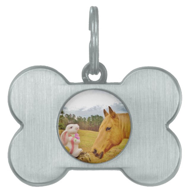 Placa Para Mascotas Conejo blanco y caballo amarillo (Frente)